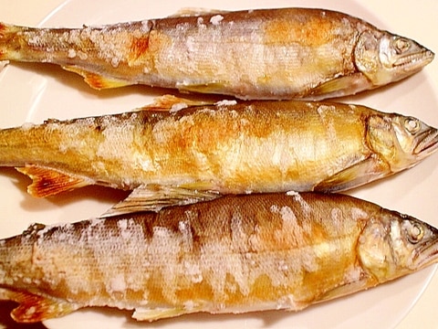 コツ 鮎の塩焼き グリルで美味しい鮎の焼き方 レシピ 作り方 By Seika A 楽天レシピ コツ 鮎の塩焼き グリルで美味しい鮎の焼き方 レシピ 作り方 By Seika A 楽天レシピ